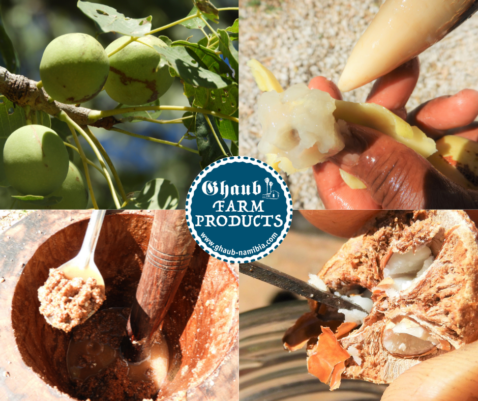 In unseren Farmküchen wird nicht nur die Marula-Frucht, sondern auch die Nuss verwertet. 